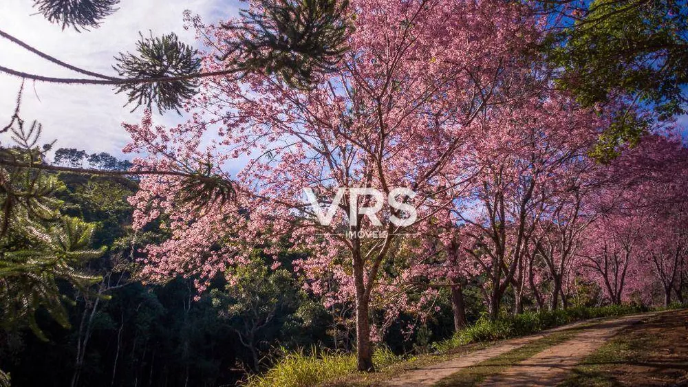 Loteamento e Condomínio, 300 m² - Foto 1