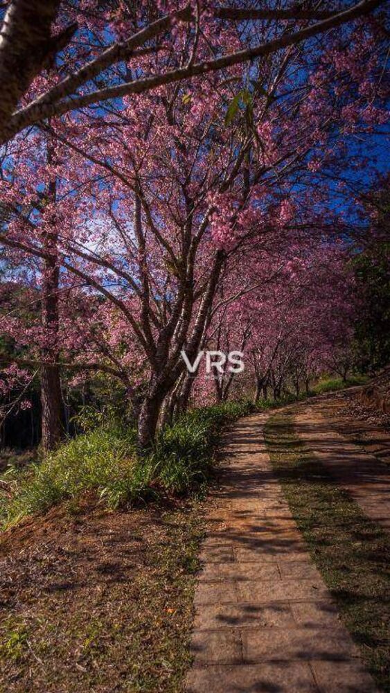 Loteamento e Condomínio, 300 m² - Foto 4