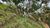 Terreno, 475 m² - Foto 4