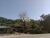 Terreno, 35 hectares - Foto 2