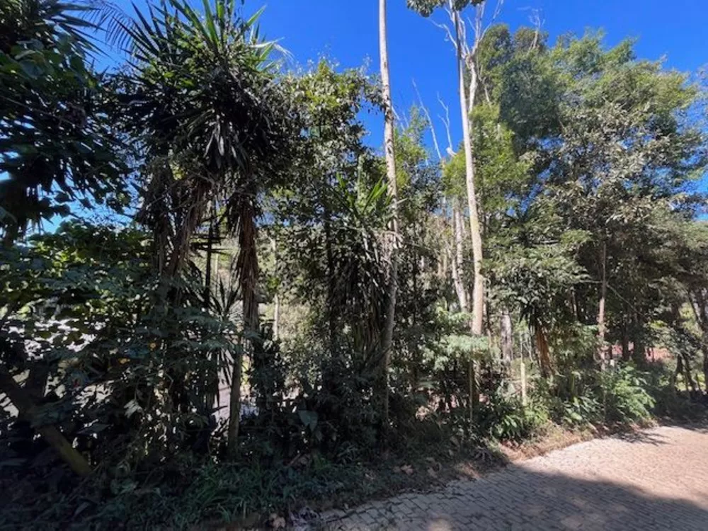 Casa, 10 quartos, 327 m² - Foto 28