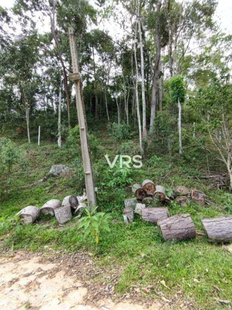 Terreno, 1031 m² - Foto 7