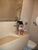 Apartamento, 4 quartos, 256 m² - Foto 7