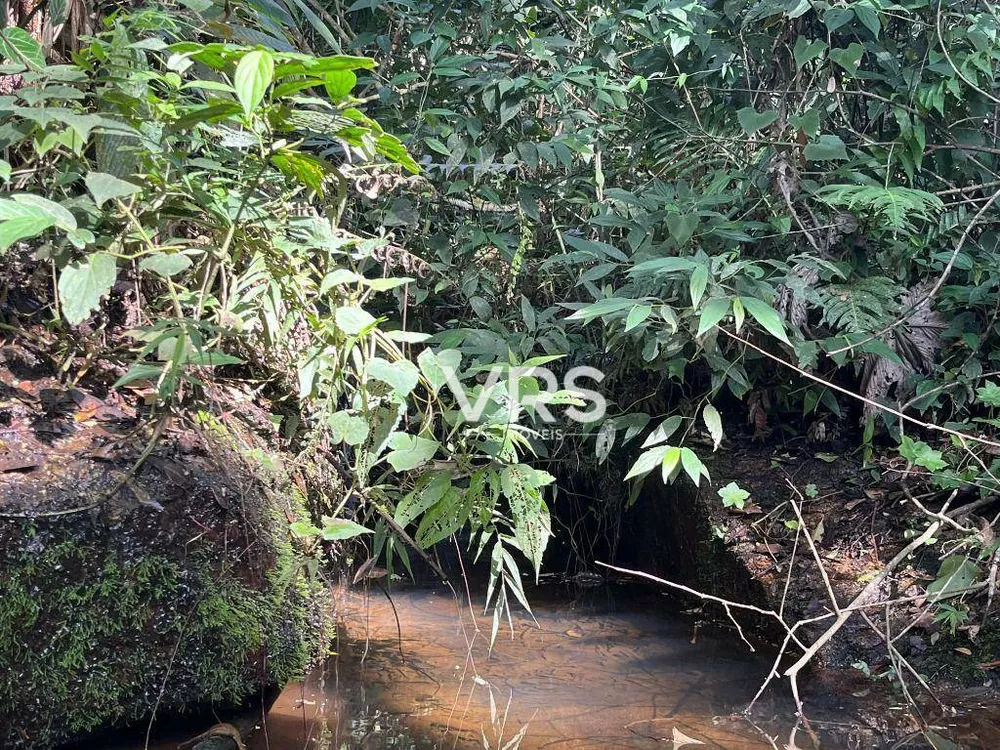 Sítio, 2 quartos, 55 hectares - Foto 12