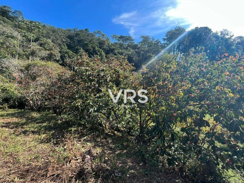 Sítio, 2 quartos, 55 hectares - Foto 11