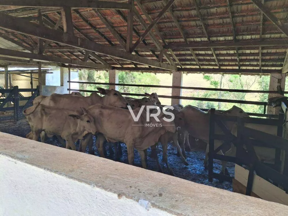 Fazenda, 182 hectares - Foto 72