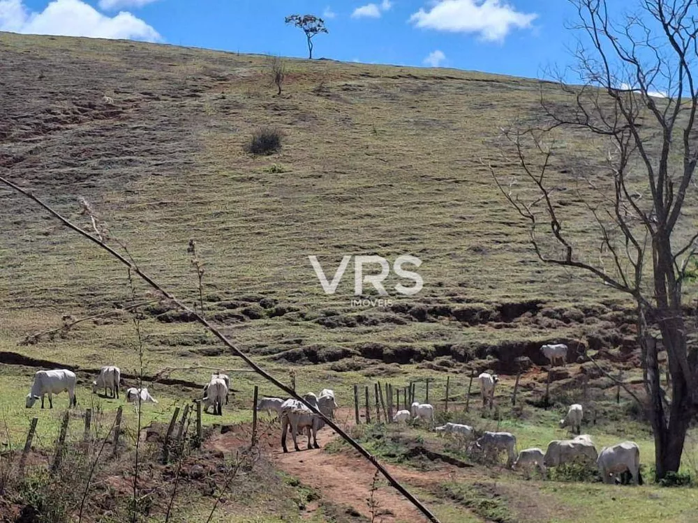 Fazenda, 182 hectares - Foto 70