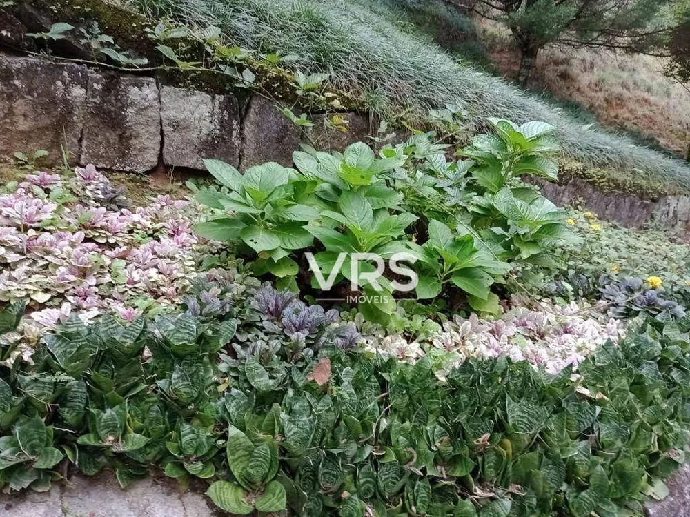 Casa, 7 quartos, 307 m² - Foto 28