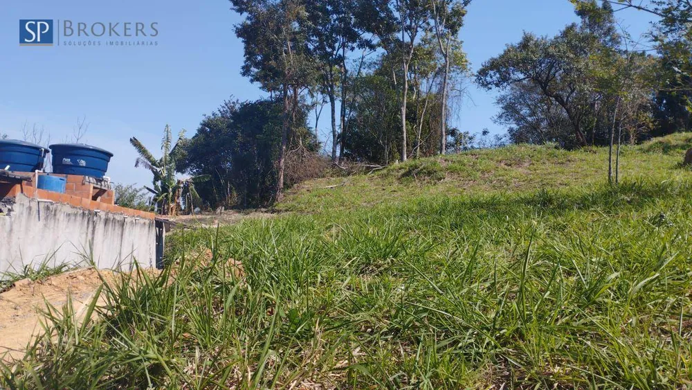 Terreno, 250 m² - Foto 2