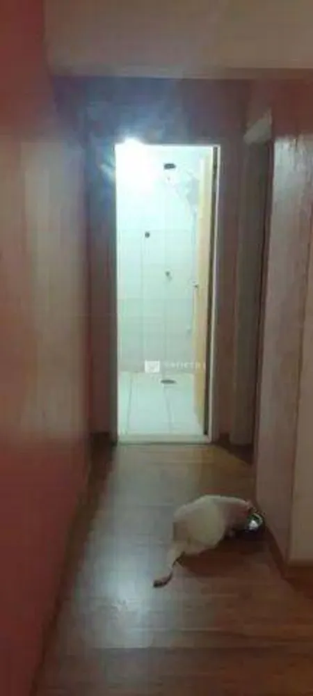 Apartamento, 1 quarto, 54 m² - Foto 4