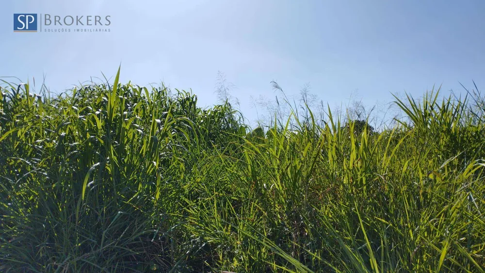 Terreno, 250 m² - Foto 4