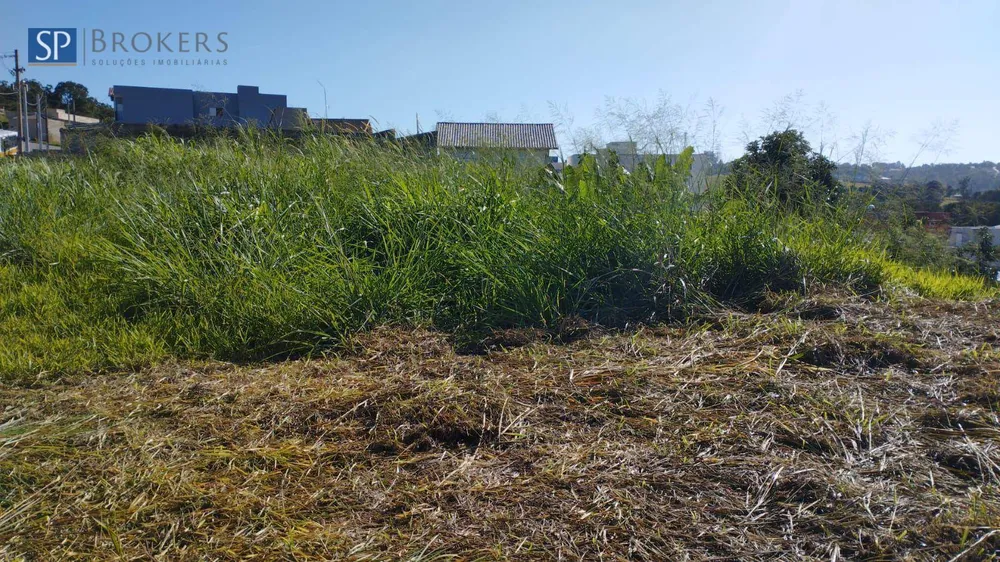 Terreno, 250 m² - Foto 2