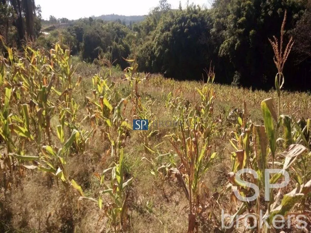 Terreno, 11 hectares - Foto 4