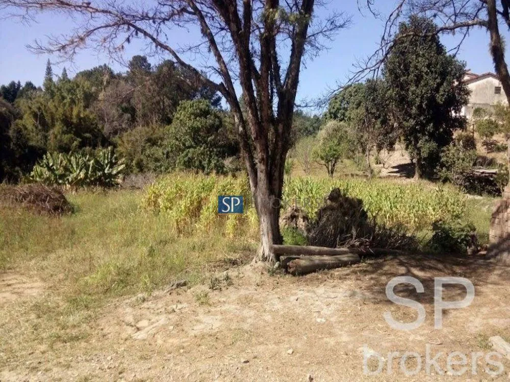 Terreno, 11 hectares - Foto 1
