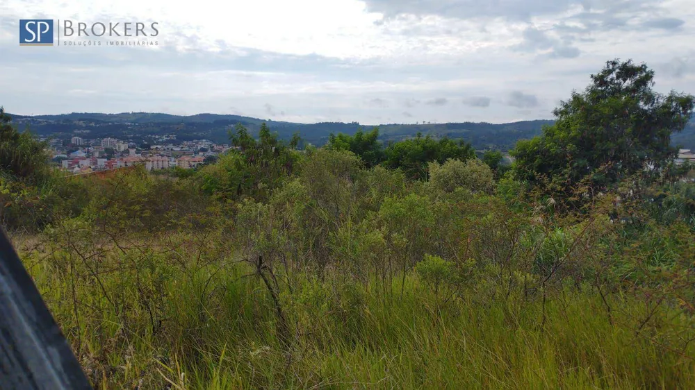 Terreno, 2 hectares - Foto 3