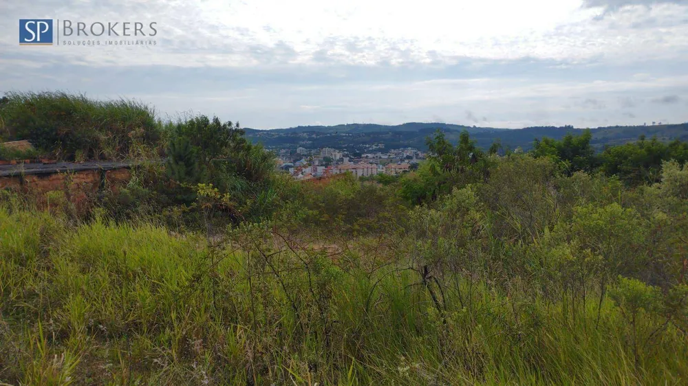 Terreno, 2 hectares - Foto 4