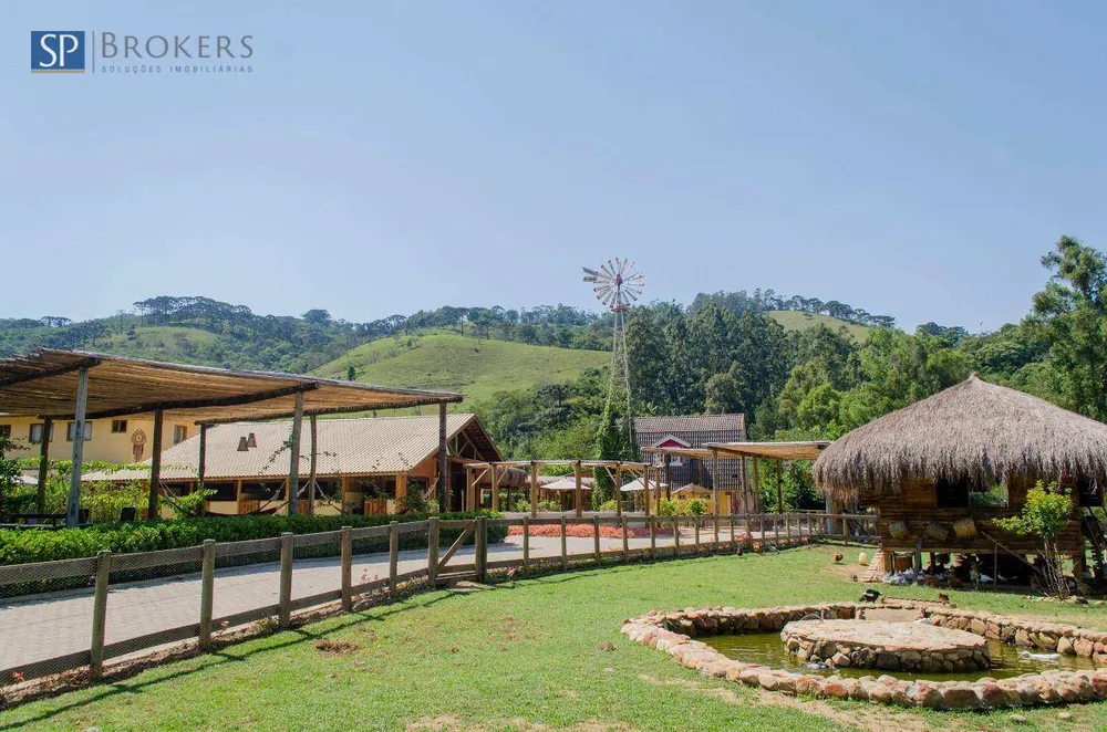 Chácara, 7 quartos, 4 hectares - Foto 1