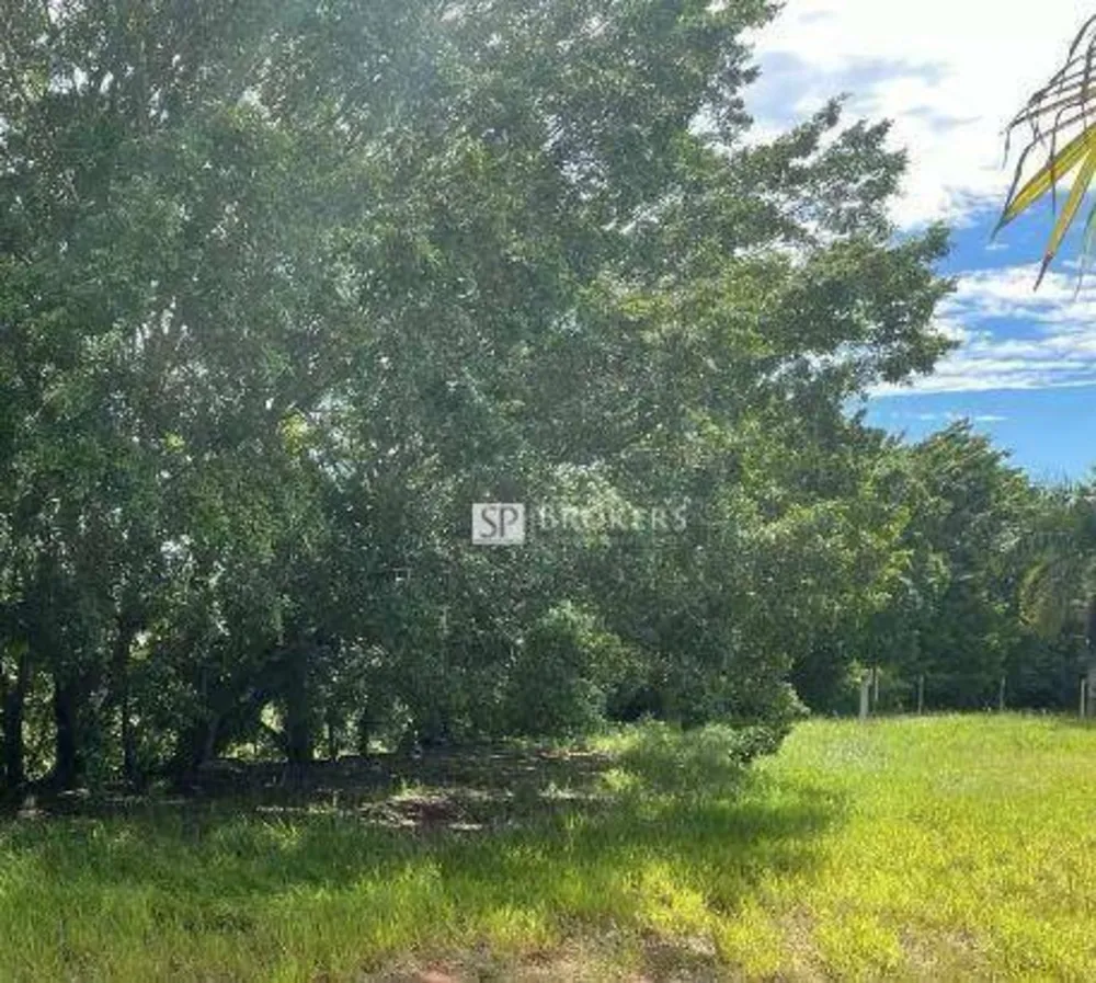 Terreno, 2 hectares - Foto 3