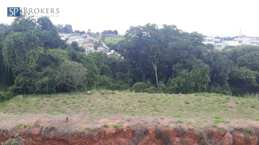 Terreno, 6500 m² - Foto 2