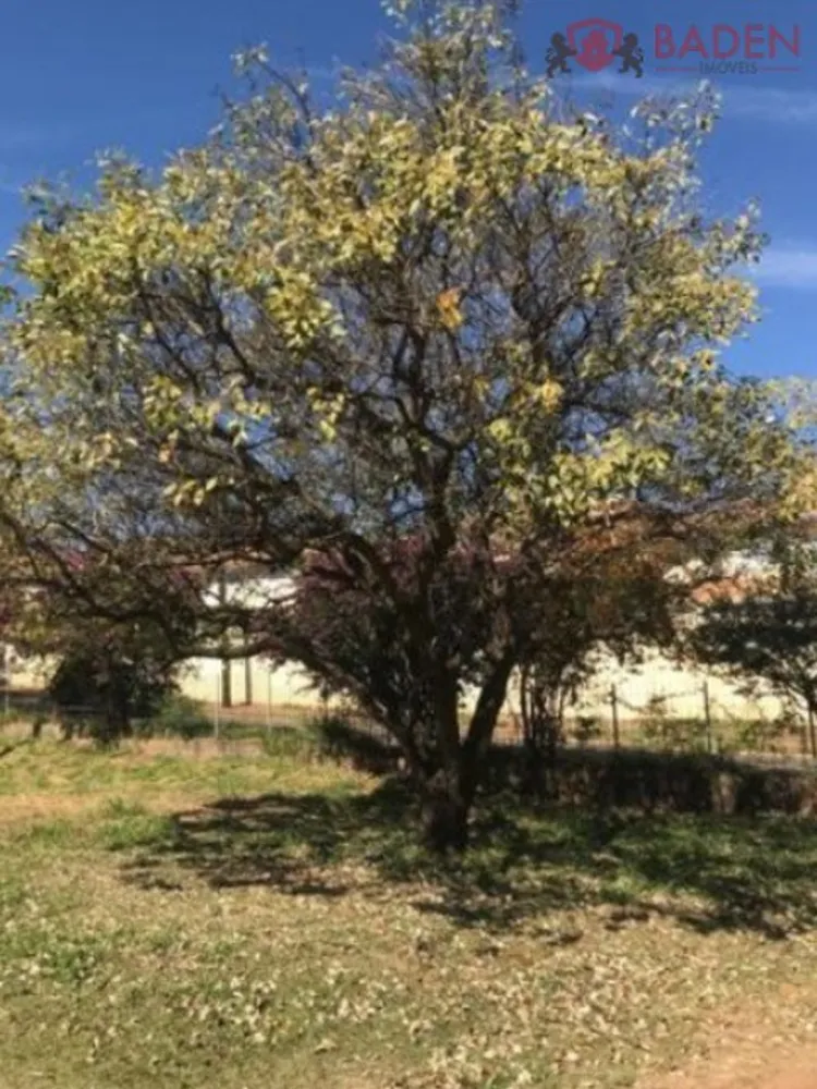 Terreno, 900 m² - Foto 3