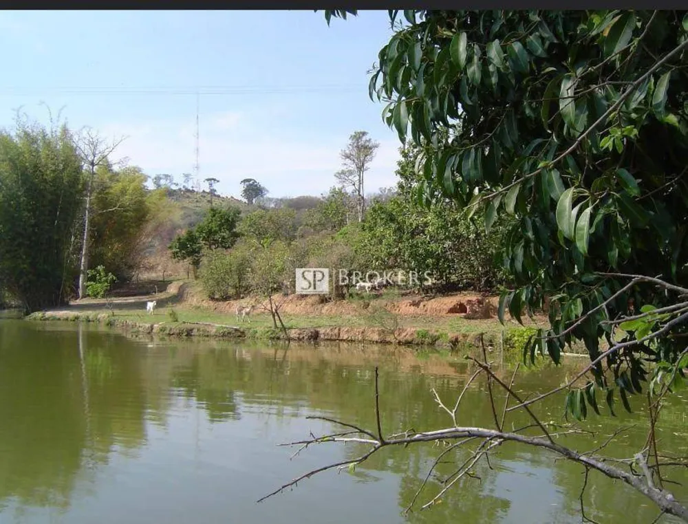 Terreno, 2 hectares - Foto 3