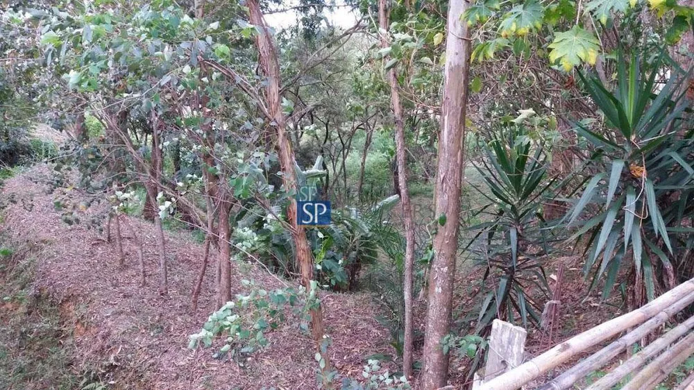 Terreno, 1 hectares - Foto 3