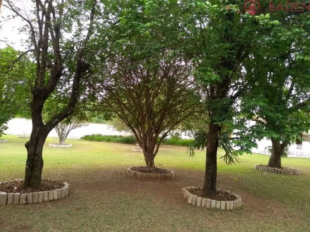Sítio, 3 quartos, 3 hectares - Foto 4