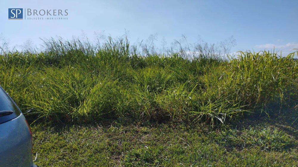 Terreno, 250 m² - Foto 3