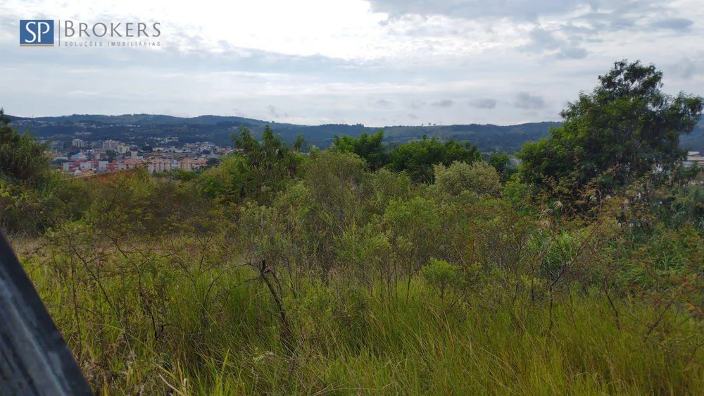 Terreno, 7972 m² - Foto 3