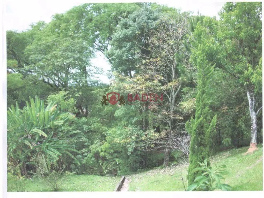Sítio, 4 quartos, 4 hectares - Foto 4