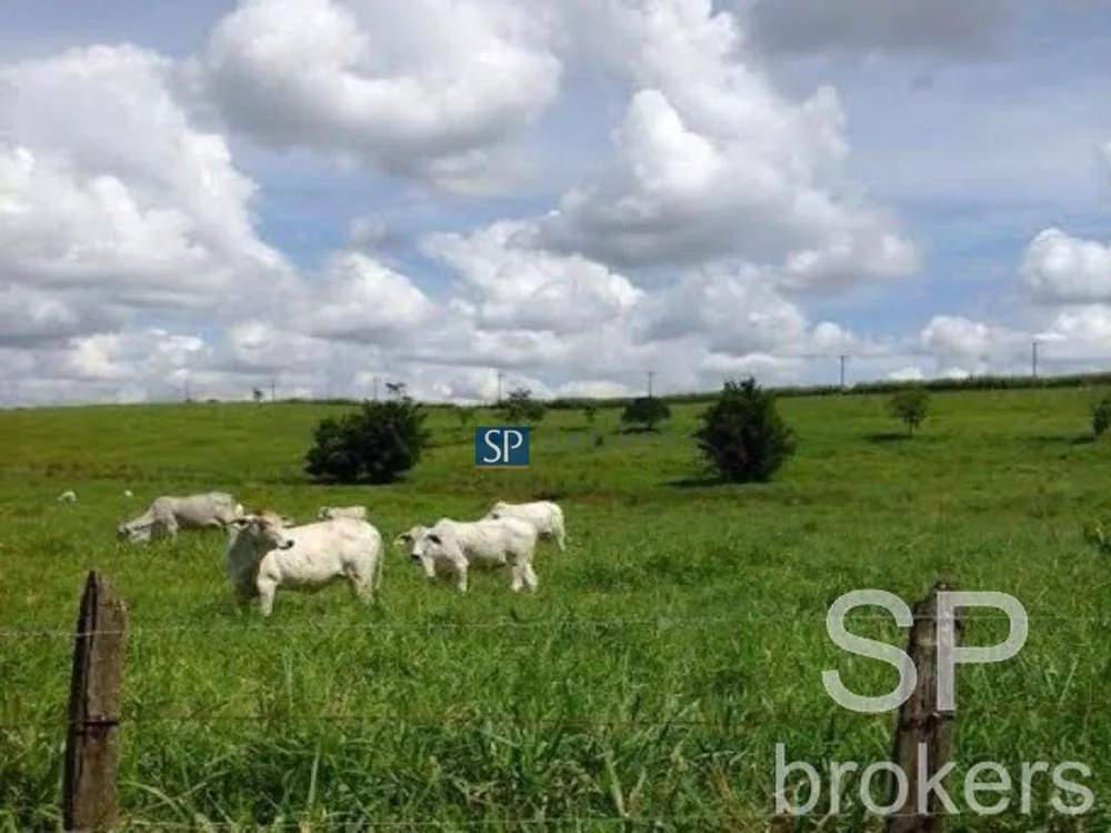 Terreno, 401 hectares - Foto 4