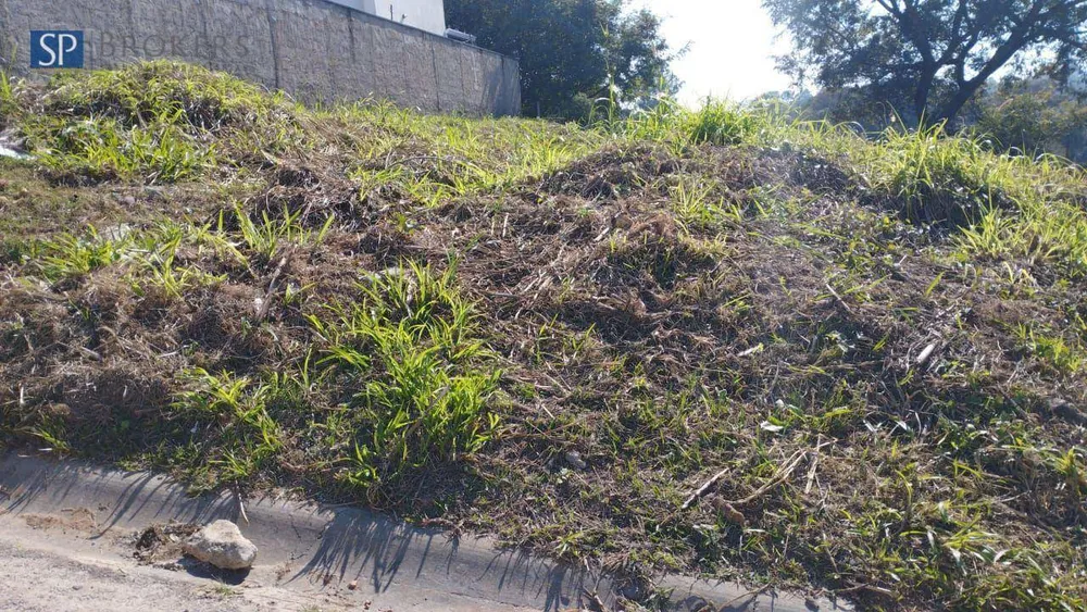 Terreno, 250 m² - Foto 1