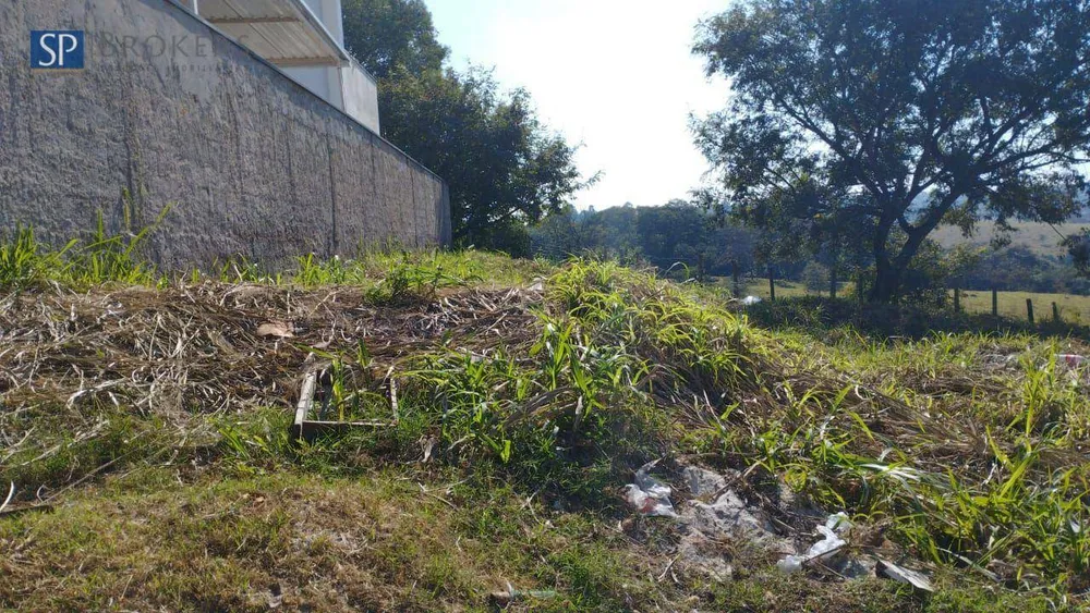 Terreno, 250 m² - Foto 3