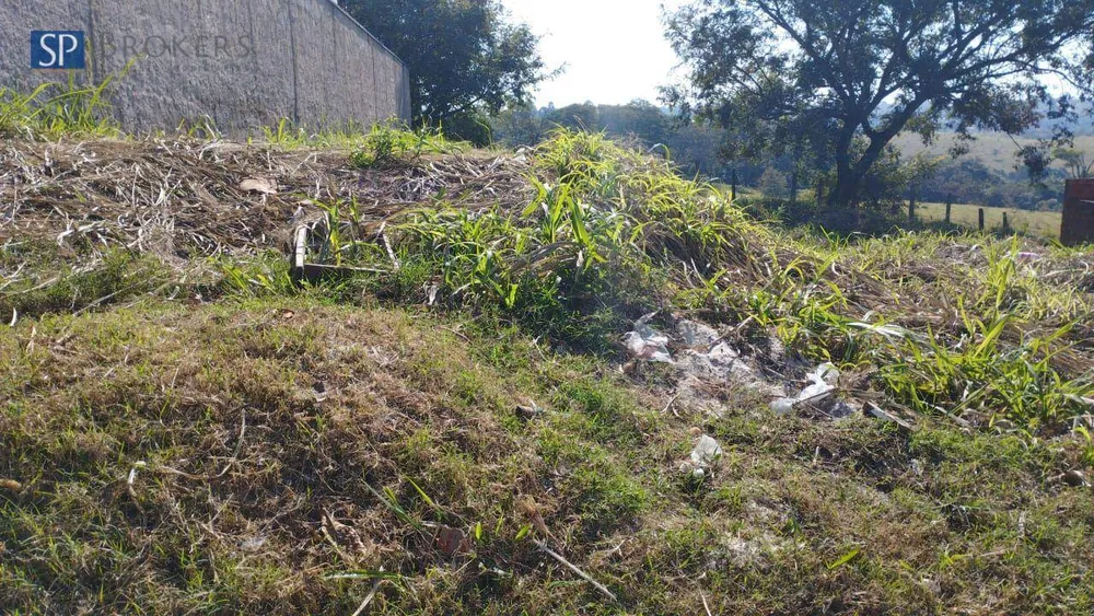 Terreno, 250 m² - Foto 4