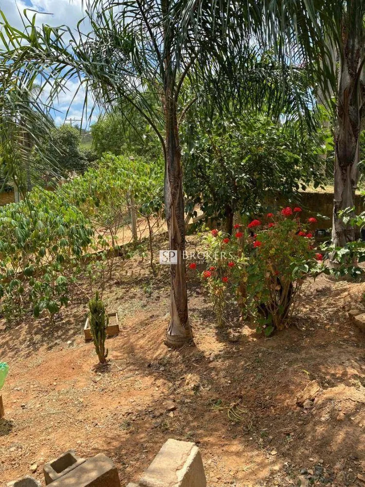 Chácara, 3 quartos, 1000 m² - Foto 3