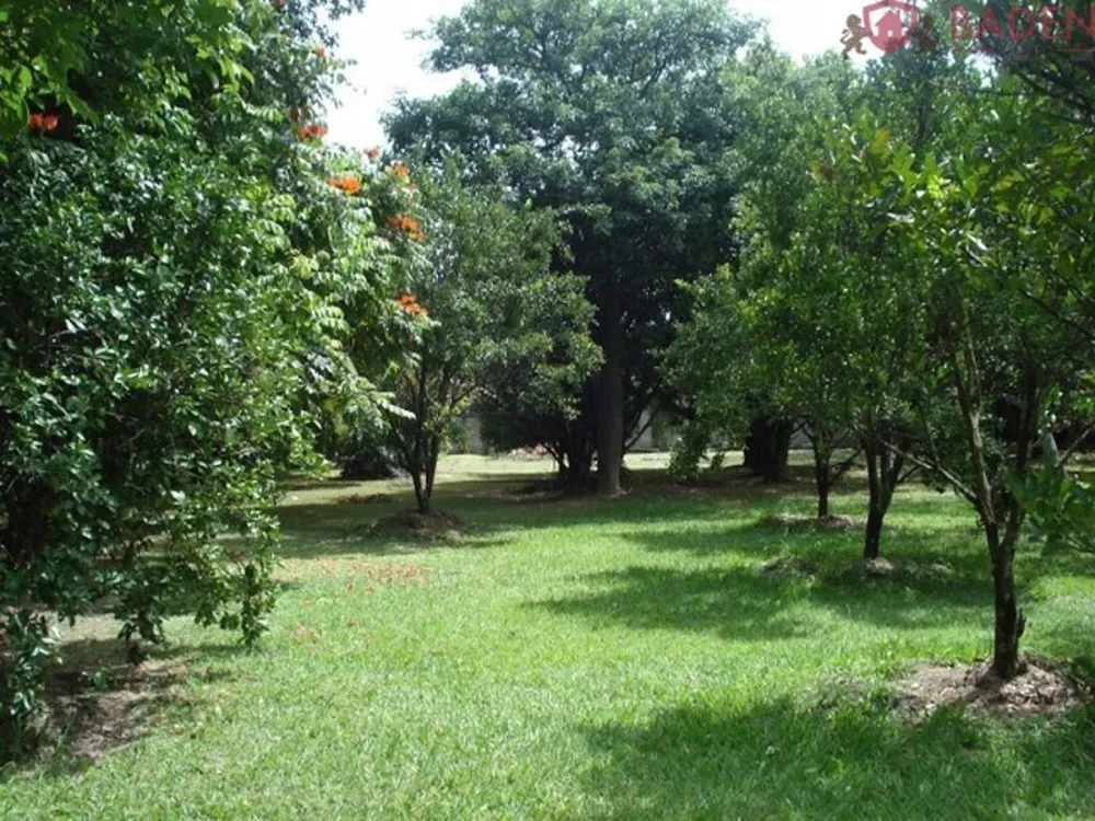 Sítio, 3 hectares - Foto 2