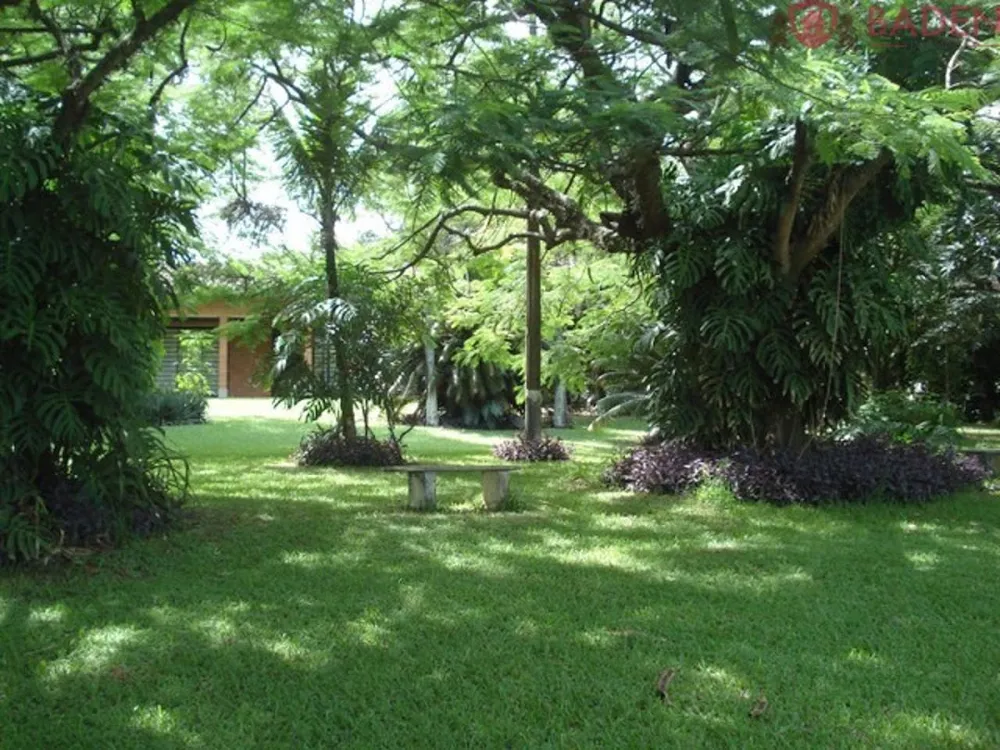 Sítio, 3 hectares - Foto 3