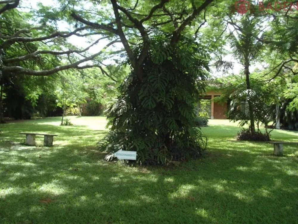 Sítio, 3 hectares - Foto 4