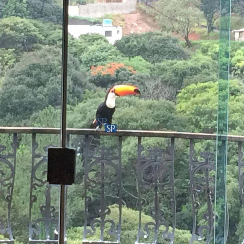 Chácara, 5 quartos, 3000 m² - Foto 1