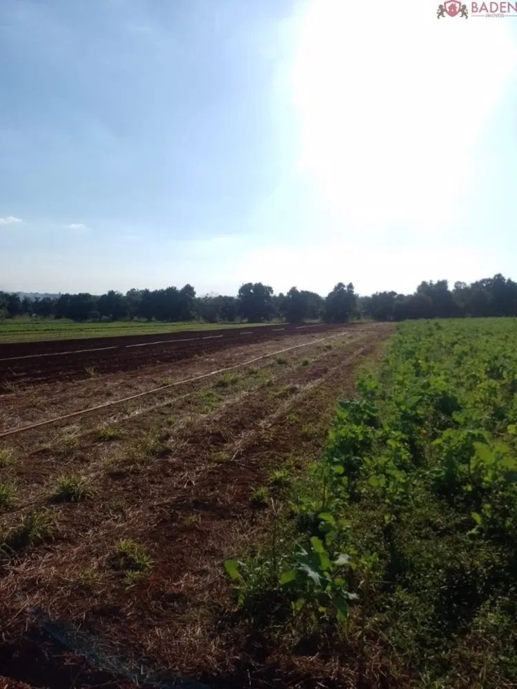 Terreno, 4 hectares - Foto 4