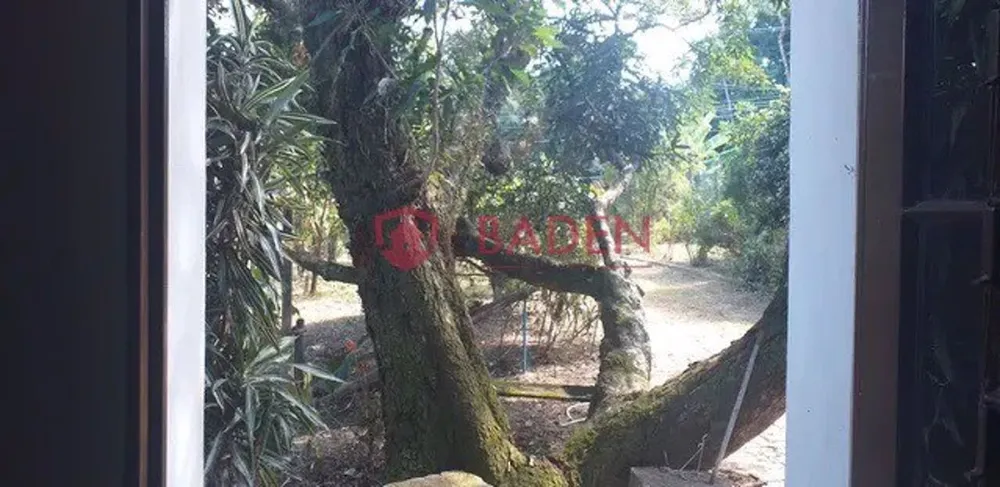 Chácara, 4 quartos, 1000 m² - Foto 3