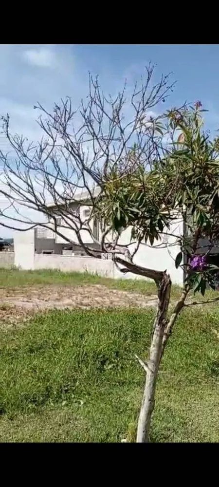 Loteamento e Condomínio, 389 m² - Foto 3