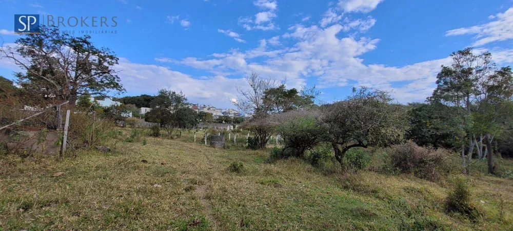 Terreno, 3 hectares - Foto 4