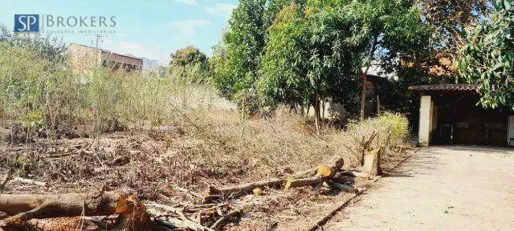 Chácara, 1 quarto, 2000 m² - Foto 2