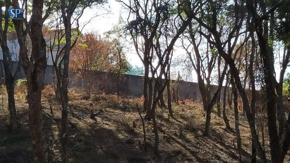 Terreno, 3600 m² - Foto 4