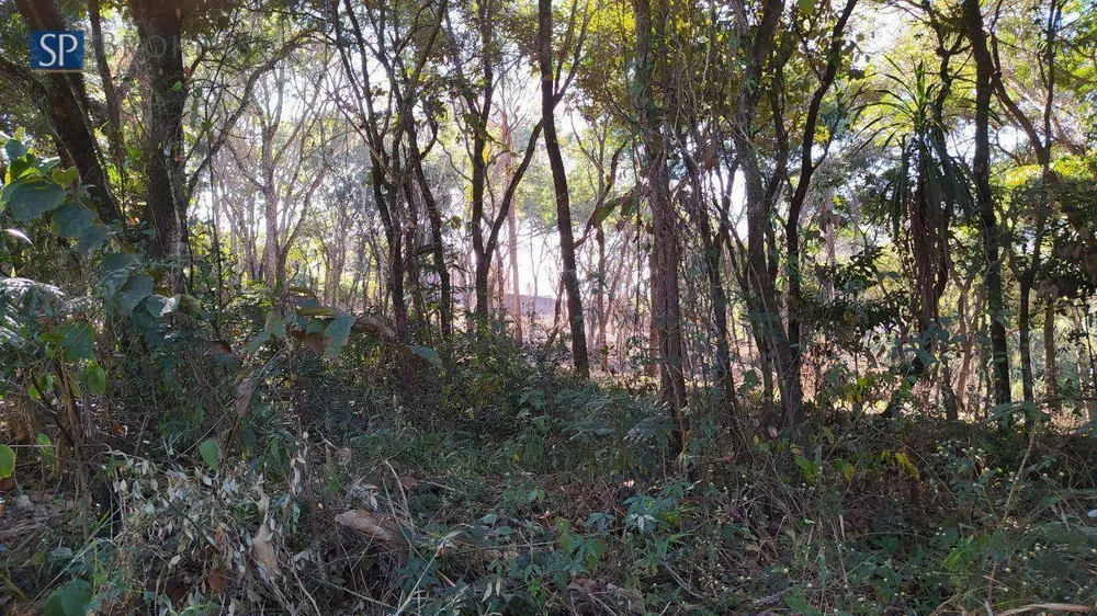 Terreno, 3600 m² - Foto 2