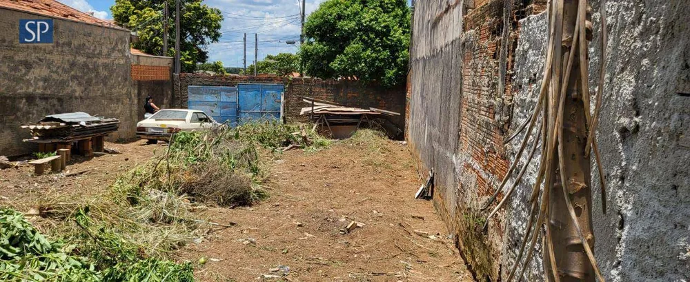 Terreno, 250 m² - Foto 3