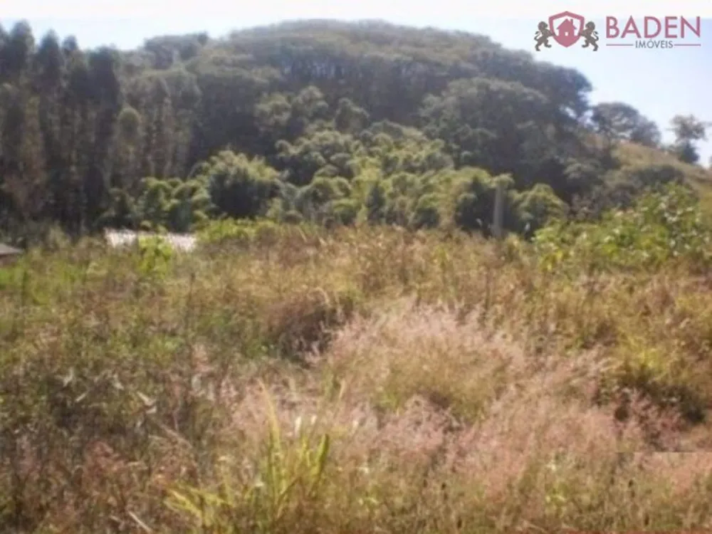 Terreno, 3 hectares - Foto 1