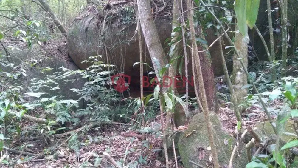 Chácara, 1 hectares - Foto 4