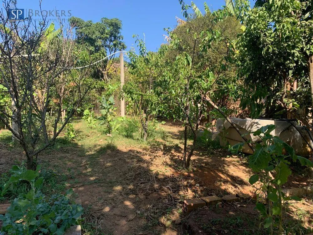 Chácara, 4 quartos, 1462 m² - Foto 3